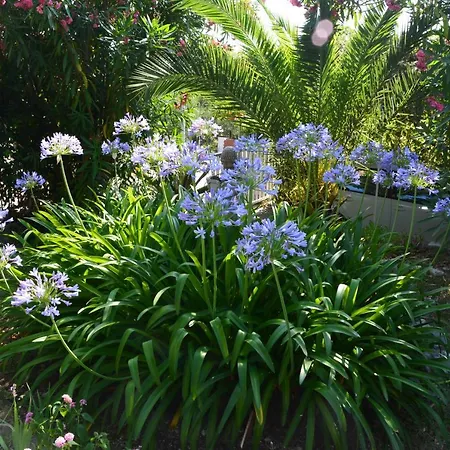 펜션 Casa Svjetlana *