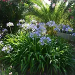 度假居 Casa Svjetlana *
