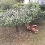 Casa Svjetlana 度假居 *
