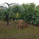 Casa Svjetlana 度假居 奥瑞比克