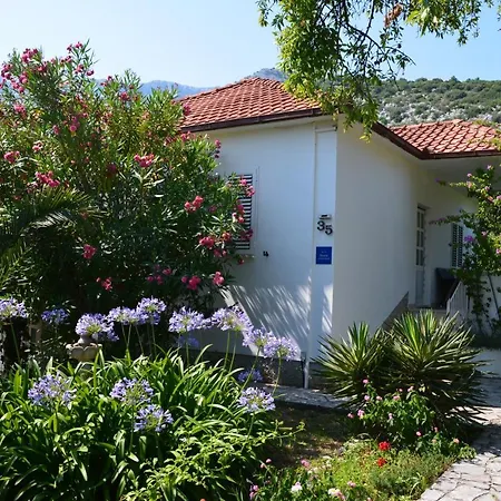 Casa Svjetlana