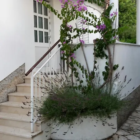 度假居 Casa Svjetlana *