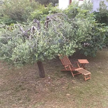 Casa Svjetlana Holiday home *