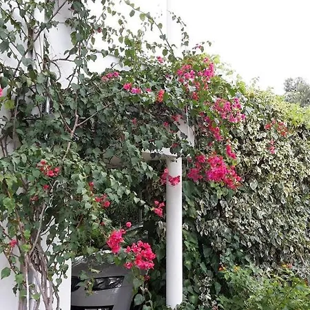 Casa Svjetlana בית נופש *