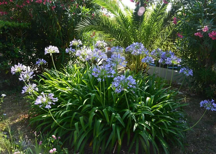 Prázdninový dům Casa Svjetlana *